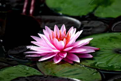 首页- k8凯发集团中国官方网站