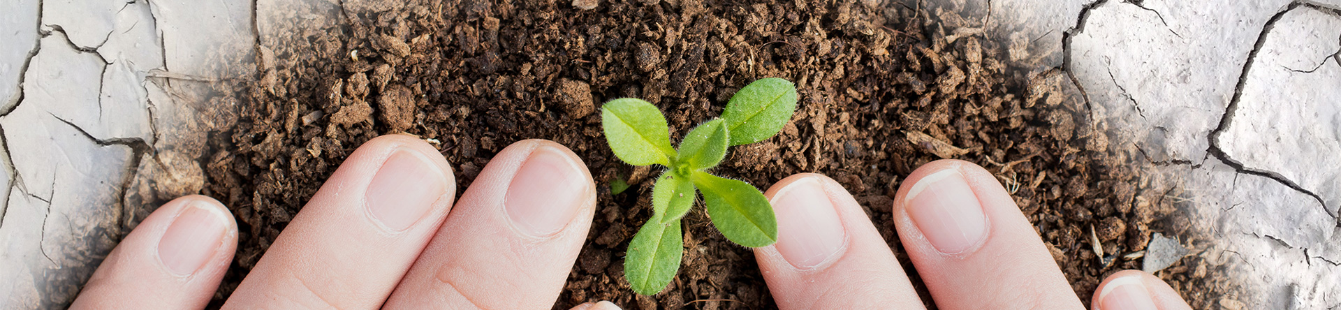 首页- k8凯发集团中国官方网站